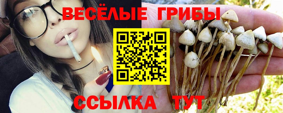 Псилоцибиновые грибы прущие грибы Йошкар-Ола