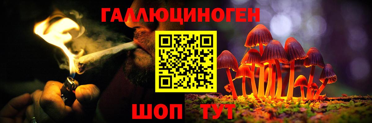 Йошкар-Ола  Псилоцибиновые грибы мицелий  Вход с VPN  Псилоцибиновые грибы Cubensis 